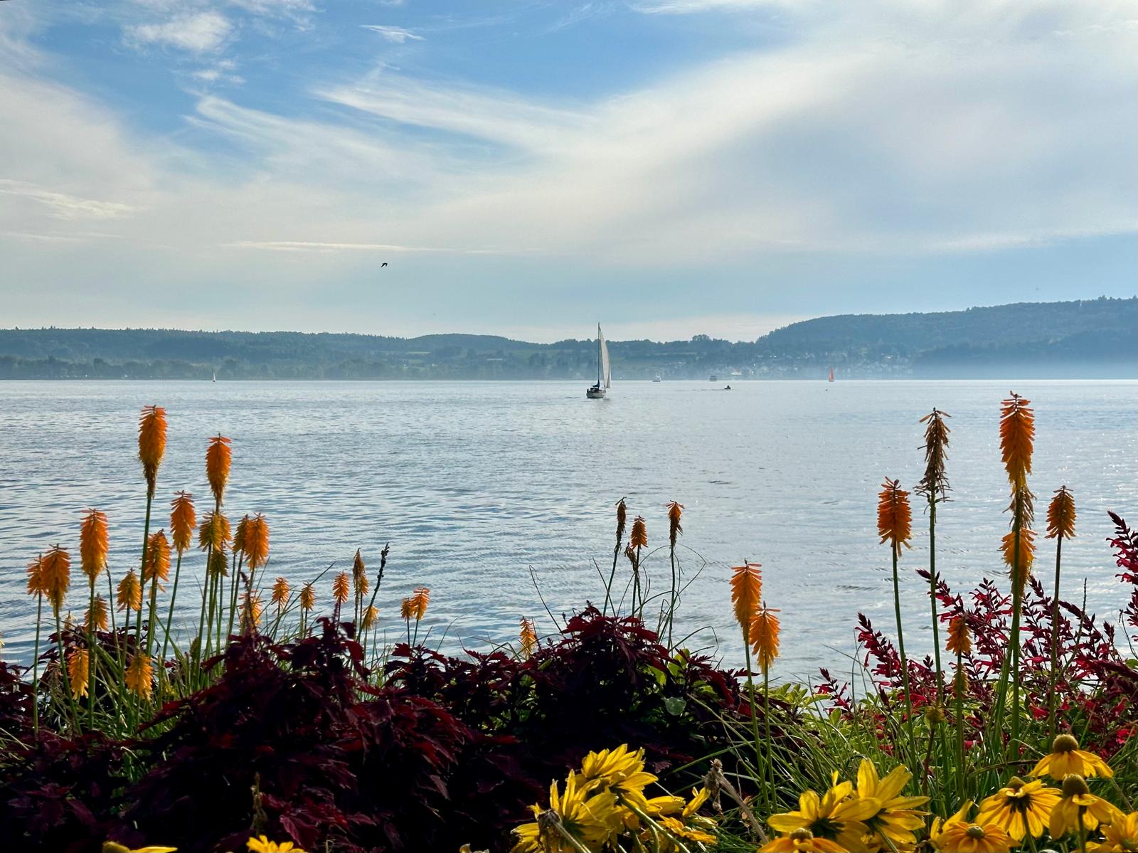 Meersburger Höhenweg (Meersburg – Hagnau)