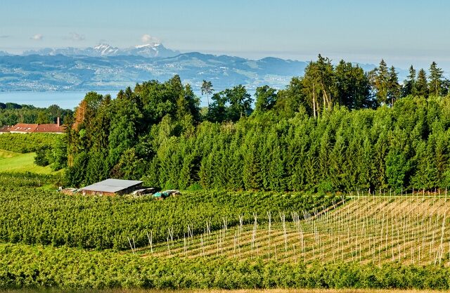 Die „Kulturgärten“ des Bodensees