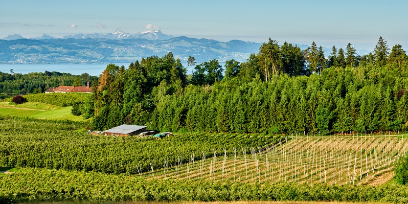 Die „Kulturgärten“ des Bodensees