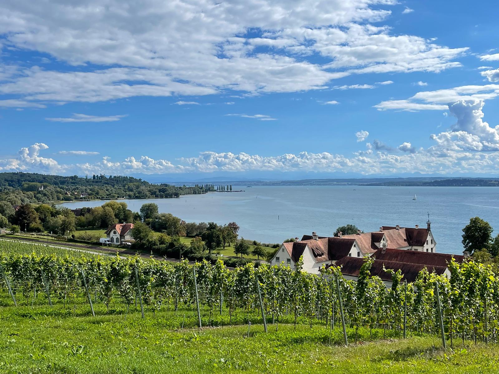 Bodensee Panorama