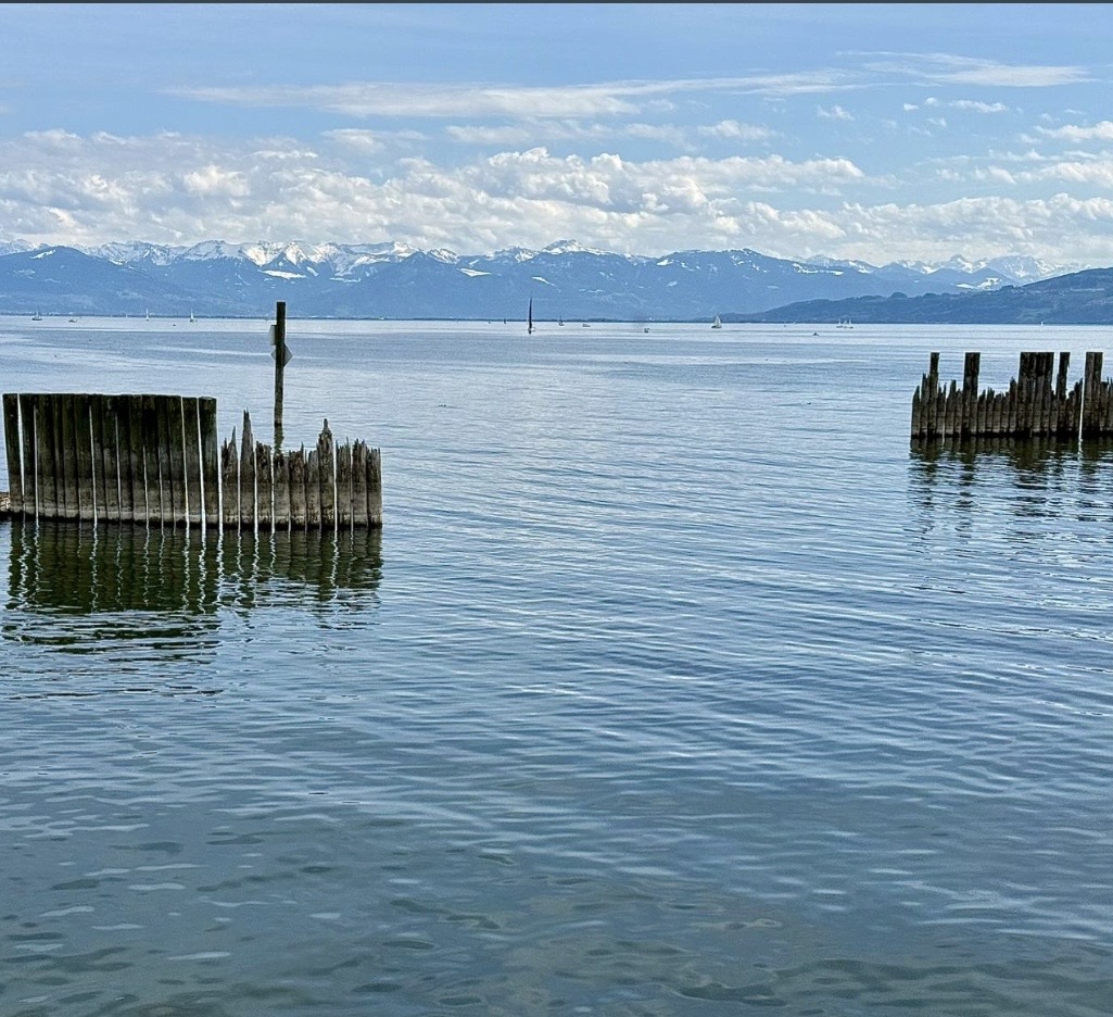 Alpenpanorama vom Bodensee