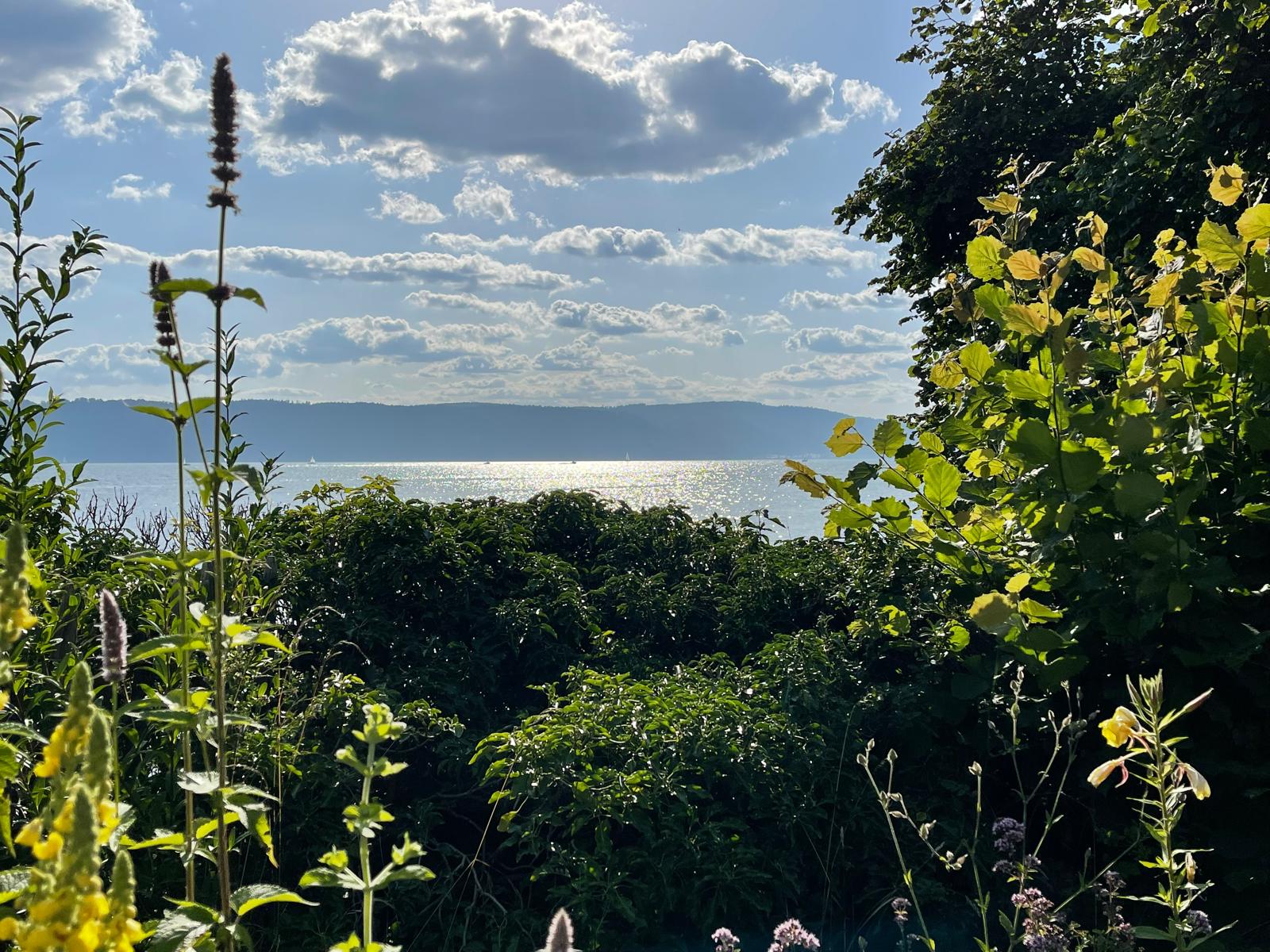 Perspektive Bodensee