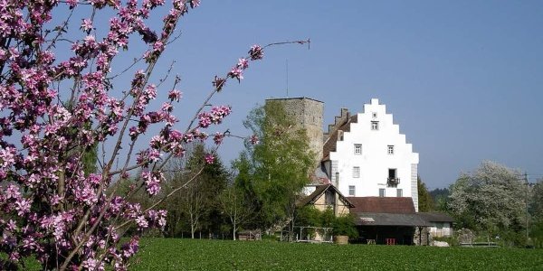 Familienradtour entlang der Argen